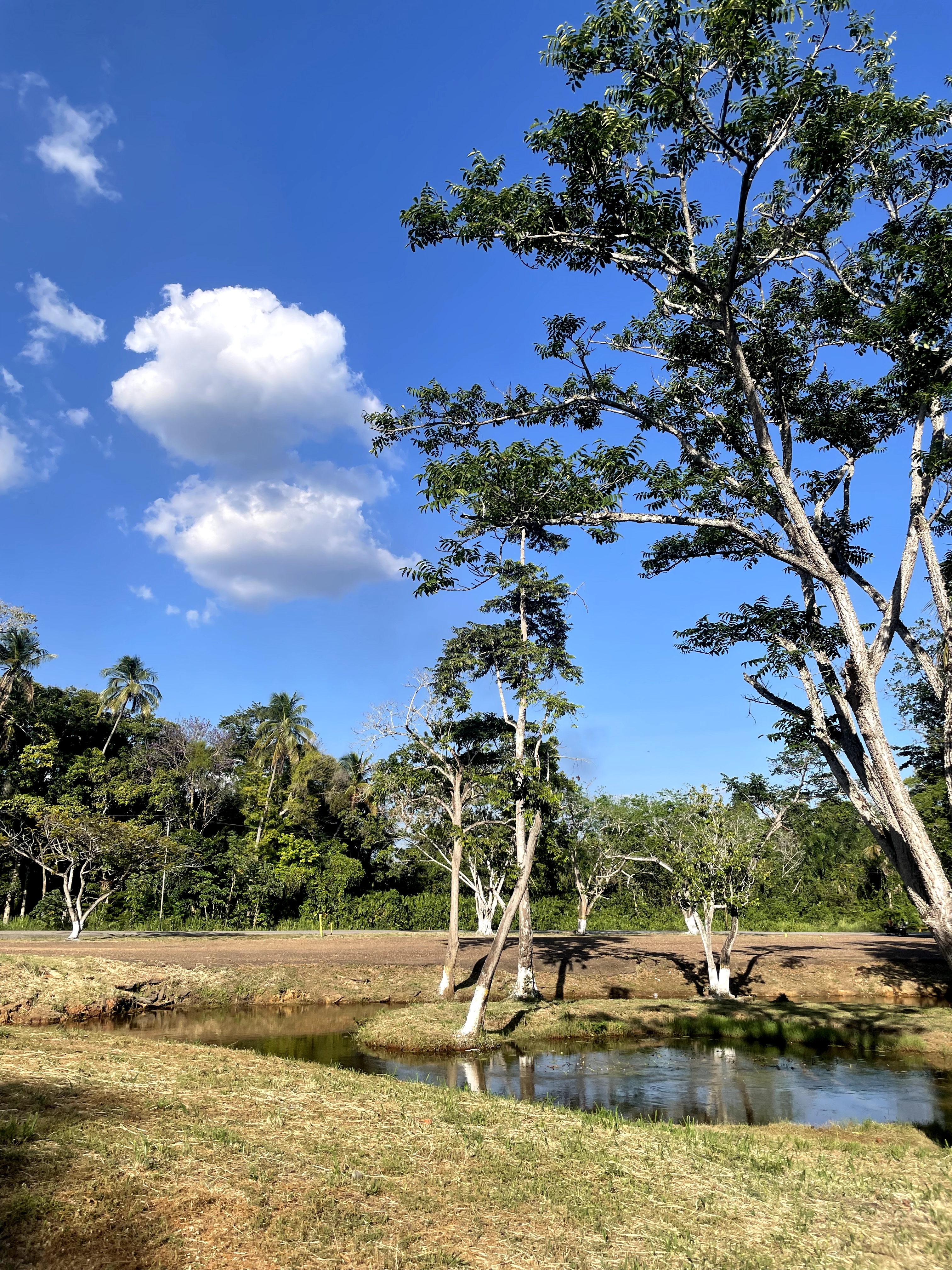 Río Queregua